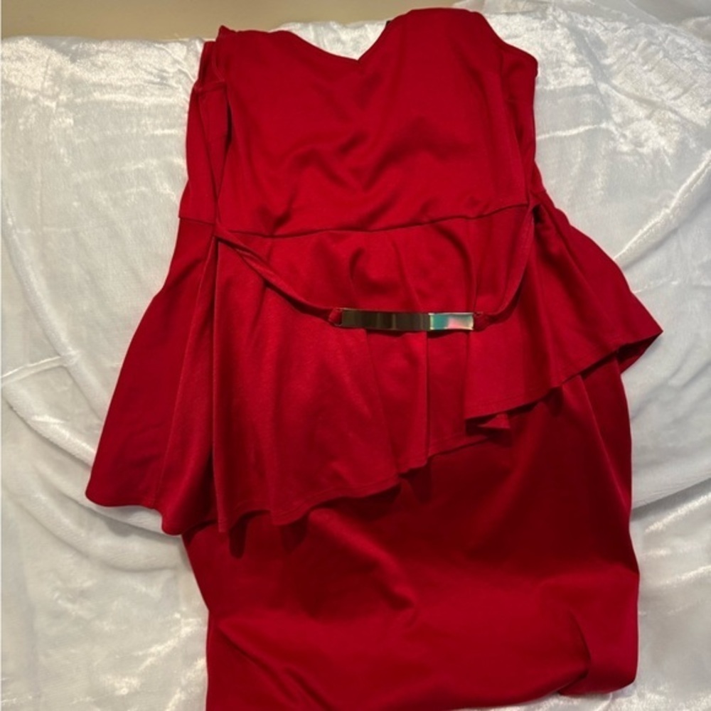 Torrid dress